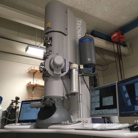 TF-30 STEM